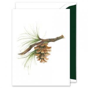 Pinecone Greeting Card
