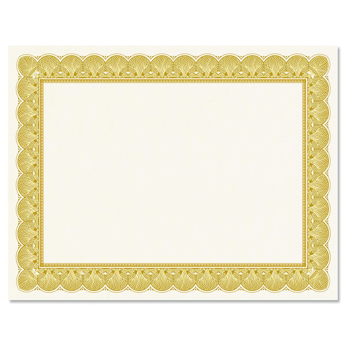 Gold Certificate Paper on White Parchment Fine Stationery
