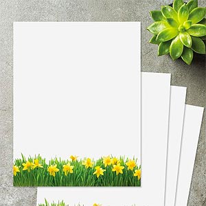 Letter Papers